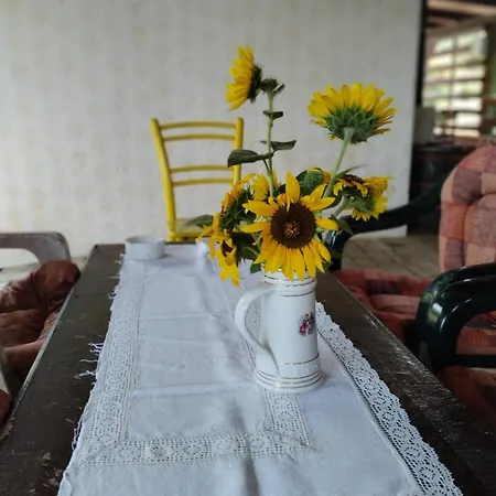 Mini-camp Skelica Nestin